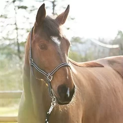 Horze Nice Halter