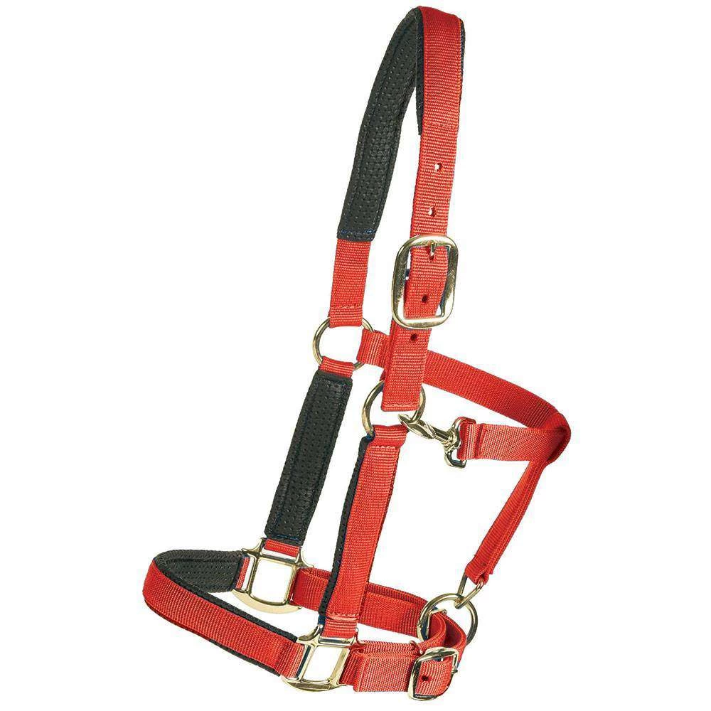 Centaur Super Comfort Halter - Image 2