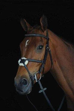 Collegiate Mono Crown Fancy Stitched Raised Jumper Figure 8 Leather Bridle