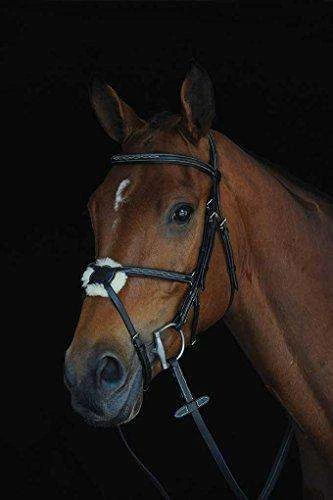 Collegiate Mono Crown Fancy Stitched Raised Jumper Figure 8 Leather Bridle