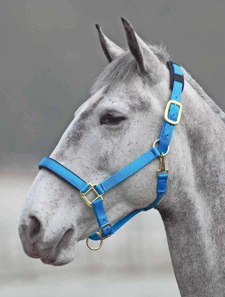 Shires Topaz Leather Breakaway Nylon Halter - Image 2