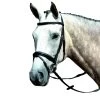 Collegiate Essential Padded Raised Flash Bridle