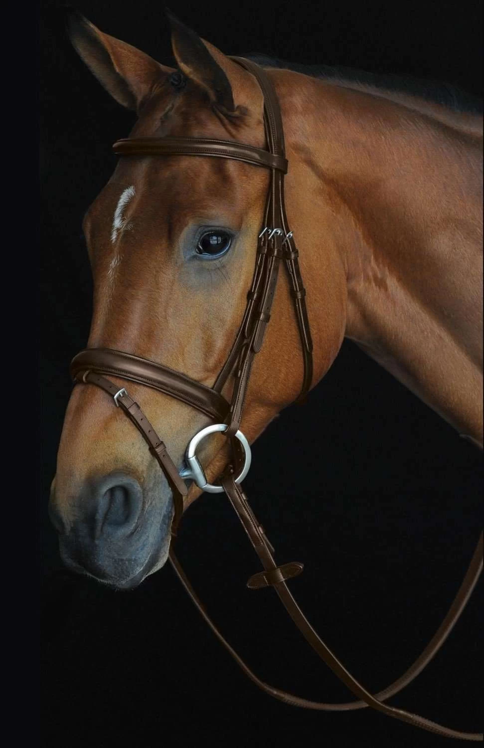 Collegiate Comfort Crown Padded Raised Flash Leather Bridle - Image 2