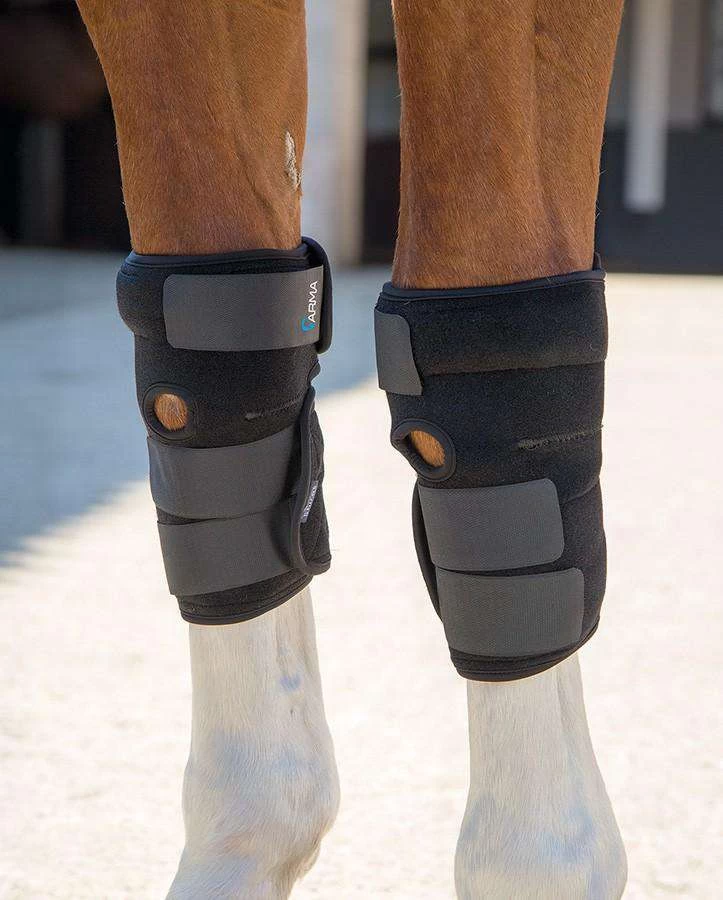 Shires Replacement Ice Pack For 2006