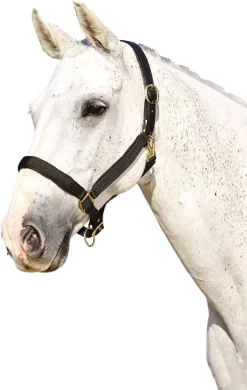 Kincade Deluxe Webbed Headcollar With Leather Crown