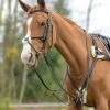 Shires Avignon Five Star Breastplate