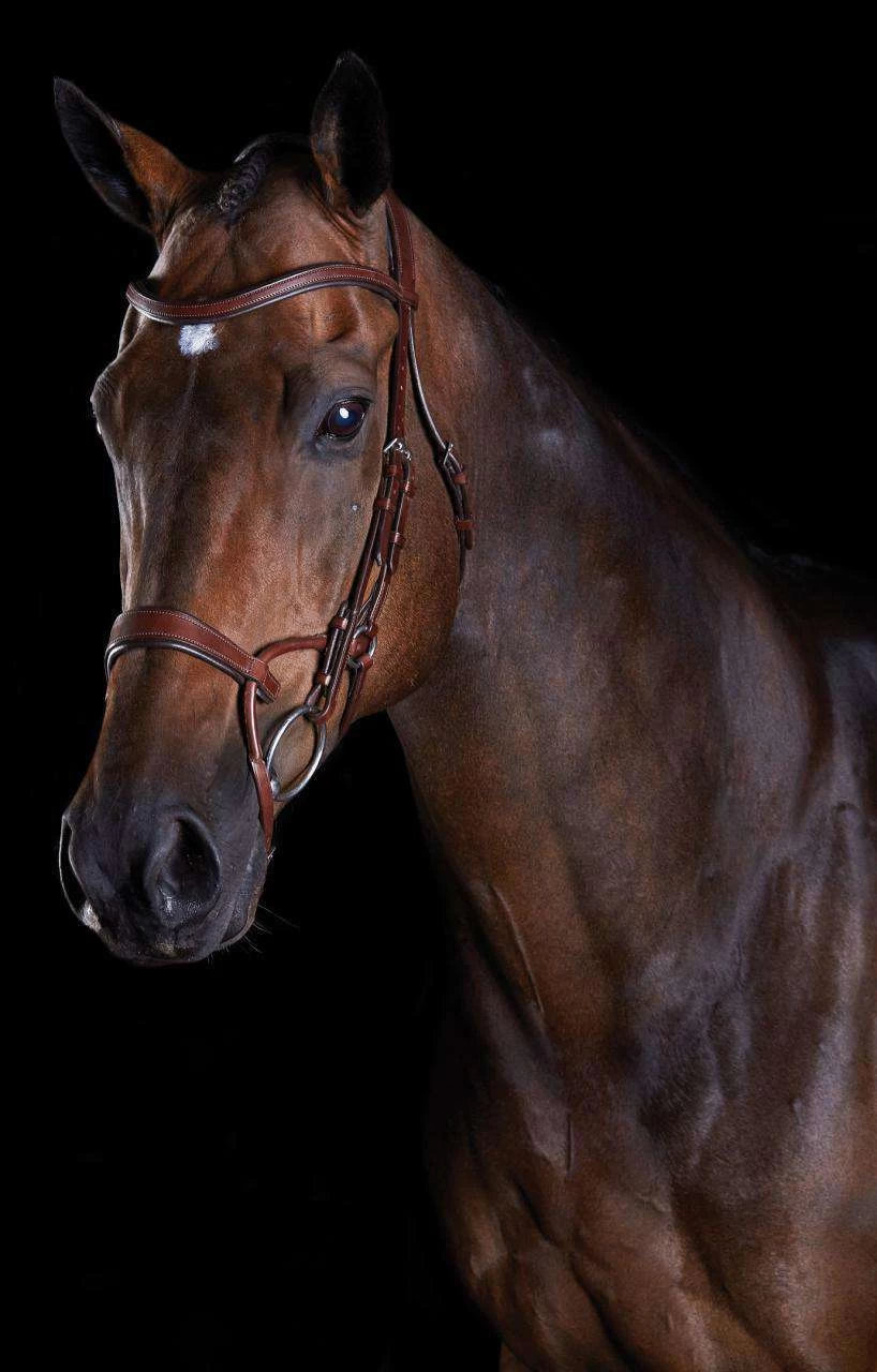 Collegiate Comfitec Training Leather Bridle - Image 3