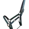 Roma Plaid Breakaway Headcollar