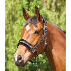 Saxon Fleece Lined Ribbon Headcollar