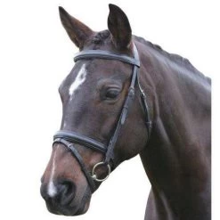 Kincade Padded Headpiece Flash Bridle
