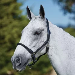 Kincade Leather Rope Headcollar