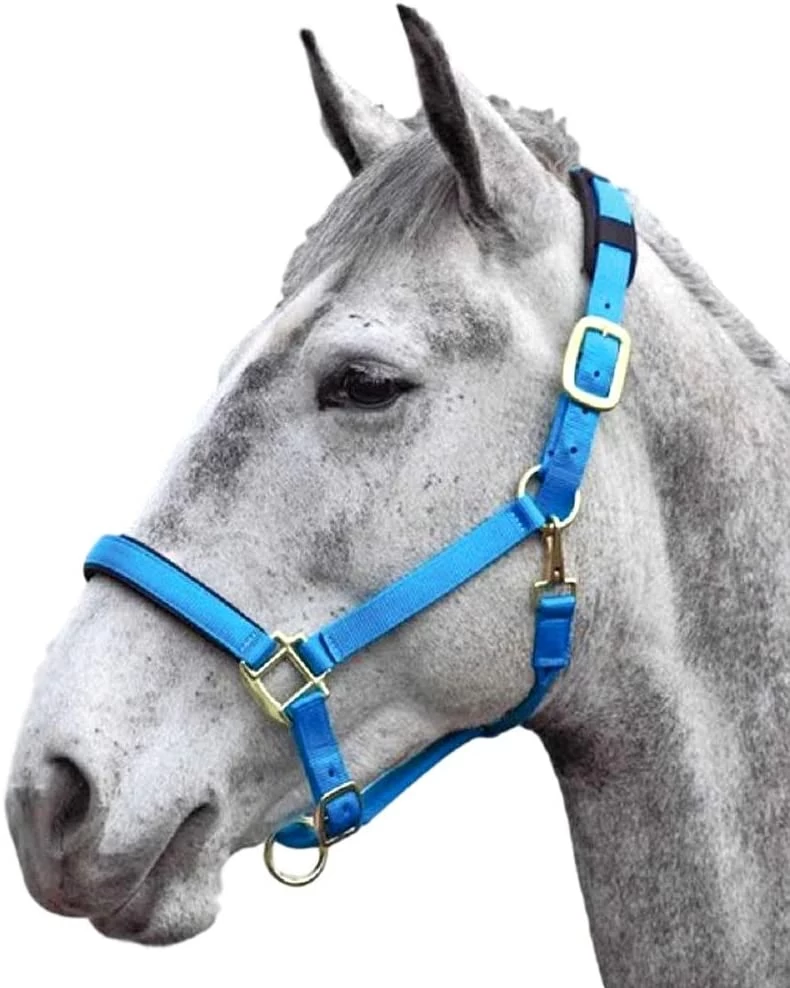 Shires Mini Topaz Halter - Image 2
