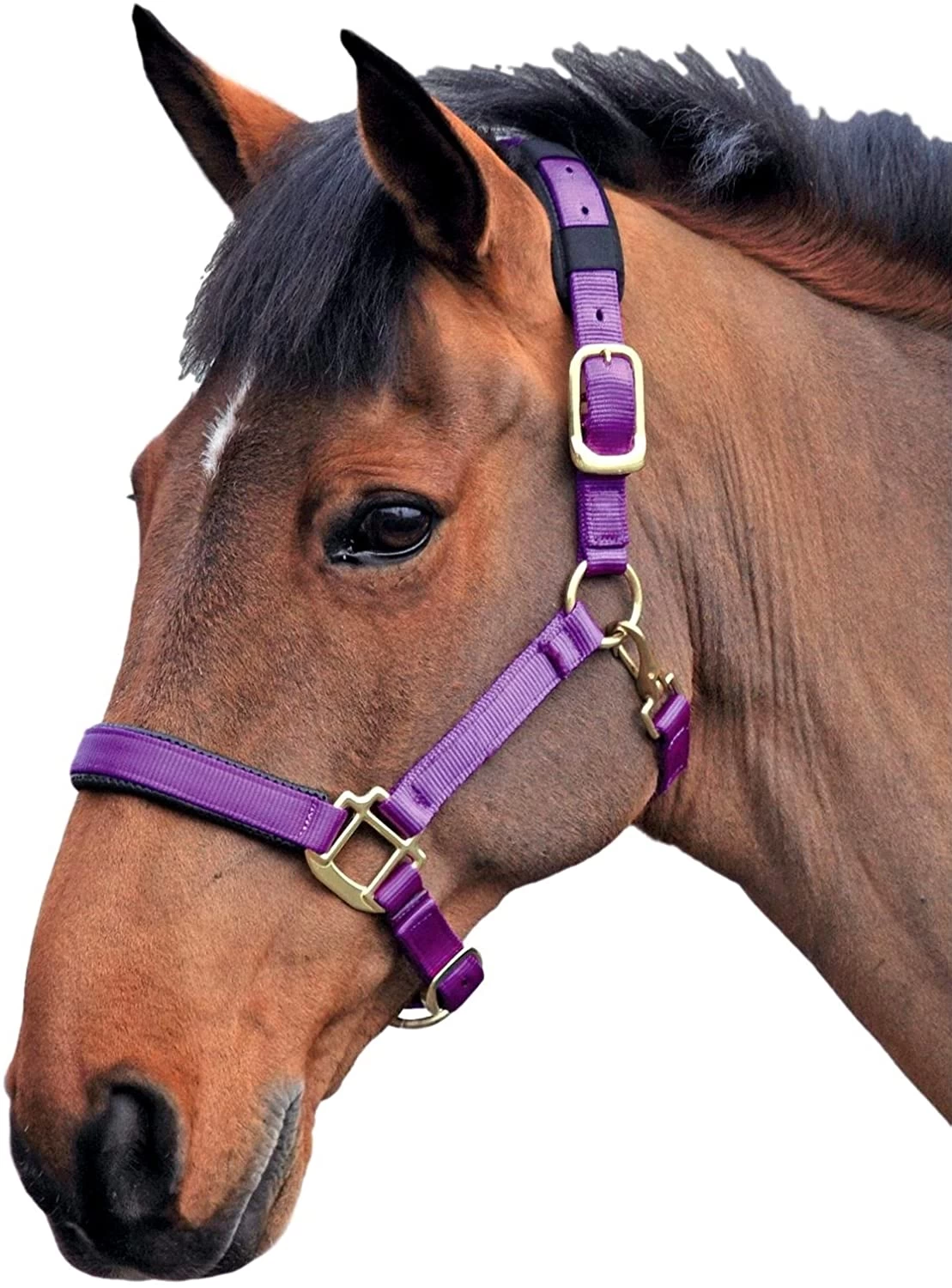 Shires Mini Topaz Halter - Image 3
