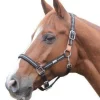 Roma Reflective Breakaway Headcollar