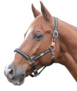 Roma Reflective Breakaway Headcollar