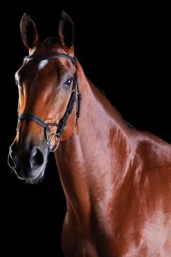 Collegiate Comfitec Training Leather Bridle