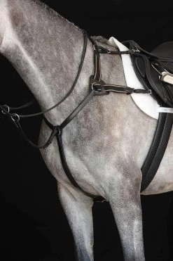 Collegiate 5-Point Breastplate IV