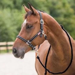 Horze Cooper Halter And Lead Set