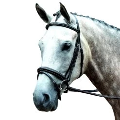 Collegiate Essential Padded Raised Fancy Stitched Flash Bridle