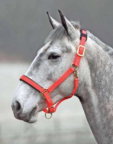 Shires Topaz Leather Breakaway Nylon Halter - Image 5