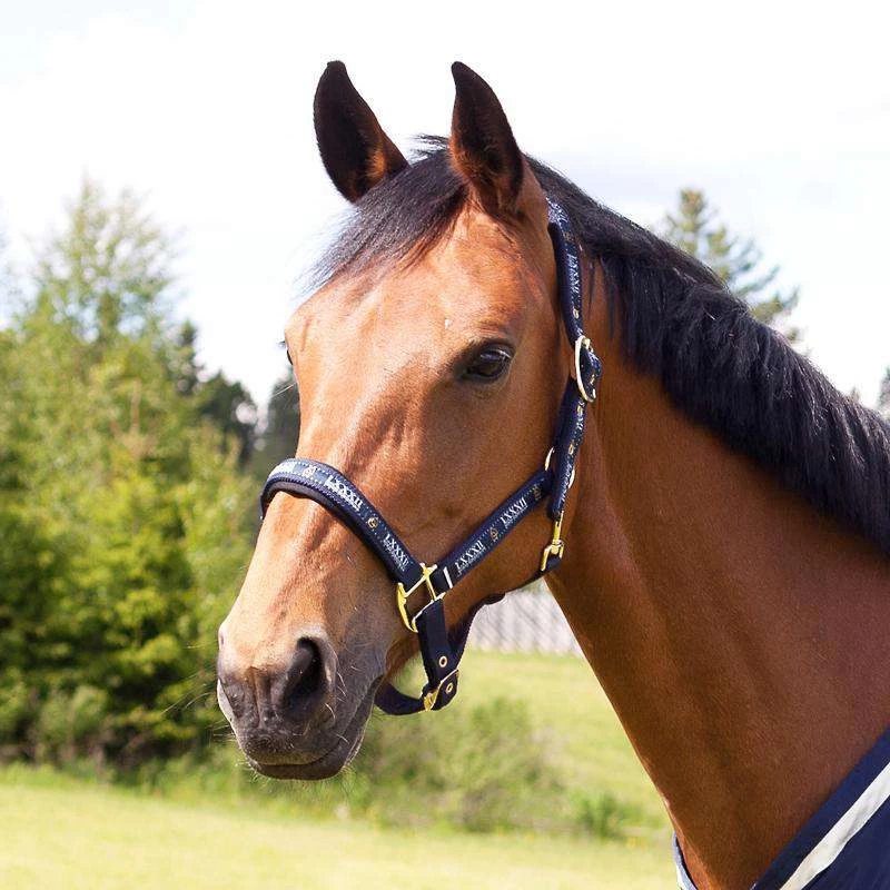 Horze Hamptons Halter - Image 6