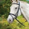 Shires Avignon Louisville Bridle
