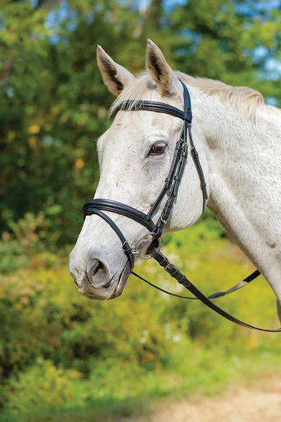 Shires Avignon Louisville Bridle