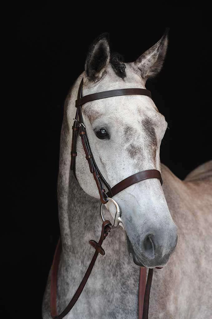Collegiate Hunt Cavesson Bridle IV - Image 2