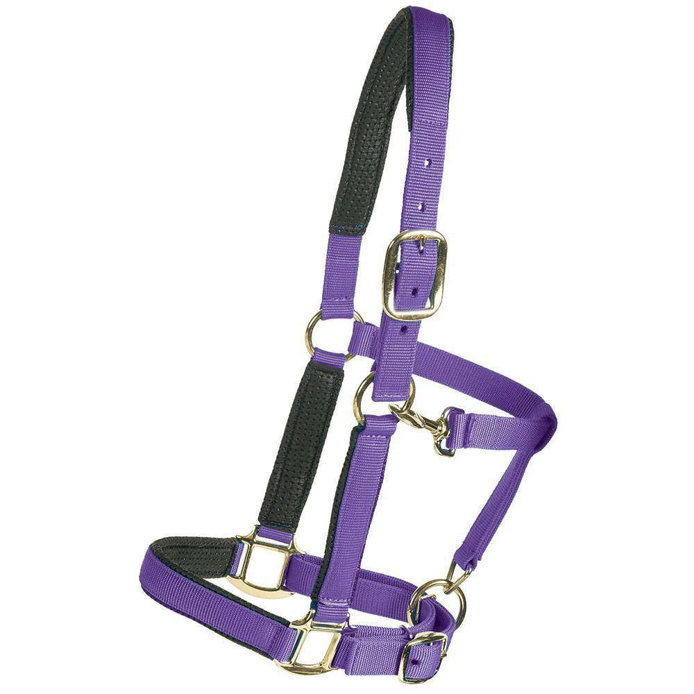 Centaur Super Comfort Halter - Image 5