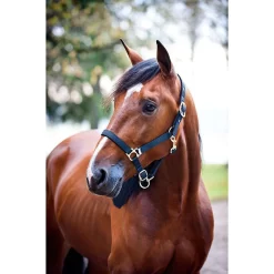Finn-Tack Padded Nylon Halter