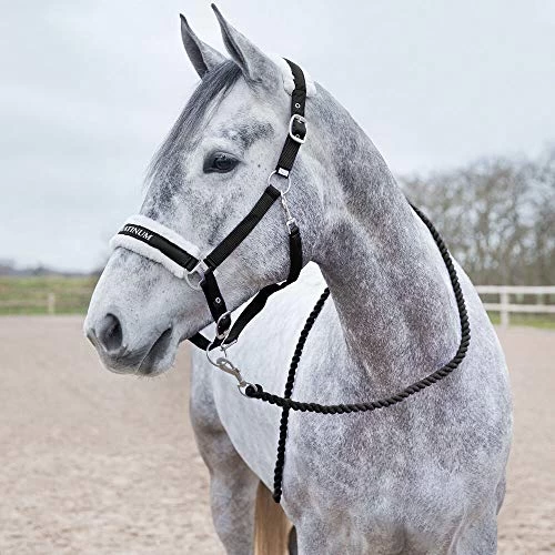 Horze Howard Soft Lead - Image 5