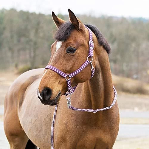 Horze Arturo Halter And Lead Set - Image 5