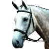 Collegiate Essential Padded Raised Fancy Stitched Cavesson Bridle
