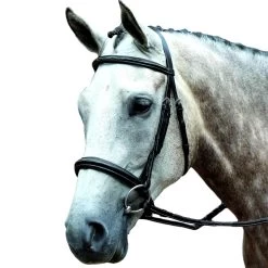 Collegiate Essential Padded Raised Fancy Stitched Cavesson Bridle