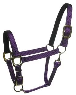 Fabtron Comfort Fit Felt Lined Adjustable Orthopedic 1" Nylon Halter