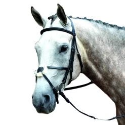 Collegiate Essential Padded Raised Figure 8 Bridle