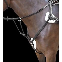 Shires Rossano 5 Point Breastplate