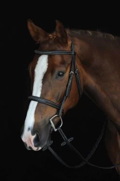 Collegiate Mono Crown Fancy Stitched Raised Cavesson Bridle