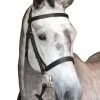 Collegiate Hunt Cavesson Bridle IV