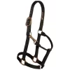 Big "D" Adjustable Snap Halter