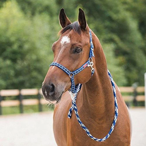 Horze Arturo Halter And Lead Set - Image 3