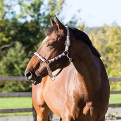 Horze Berkeley Halter
