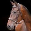 Shires Rossano Amalfi Bridle