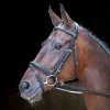 Shires Rossano Milan Bridle