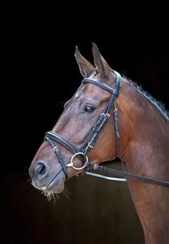 Shires Rossano Milan Bridle