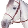 Kincade Padded Plain Raised Bridle