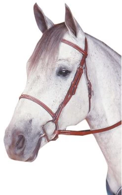 Kincade Padded Plain Raised Bridle
