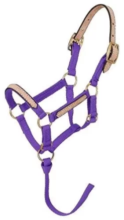 Tough 1 Miniature Nylon Break-Away Halter