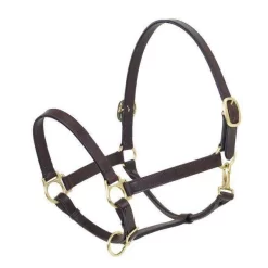Ovation Elite Stable Halter