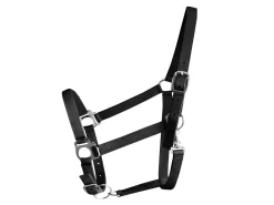 BasEQ Turnout Halter